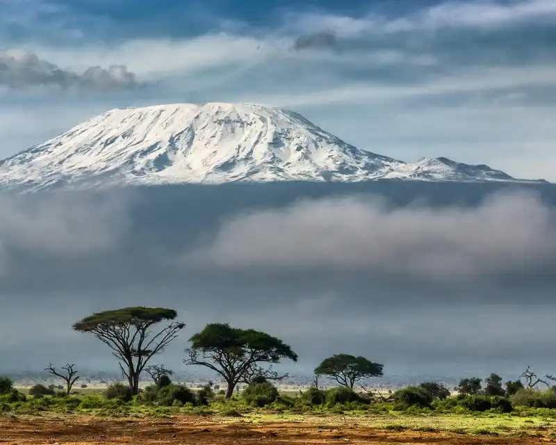 Kilimanjaro rising above the cloud